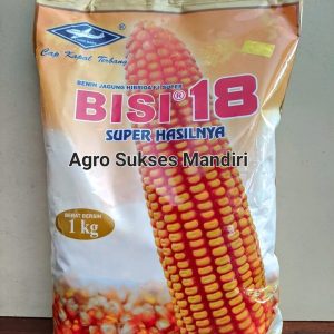 bibit jagung